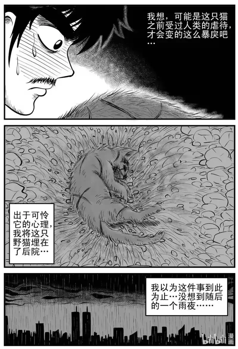 小智怪谈_h 163 猫 第16页