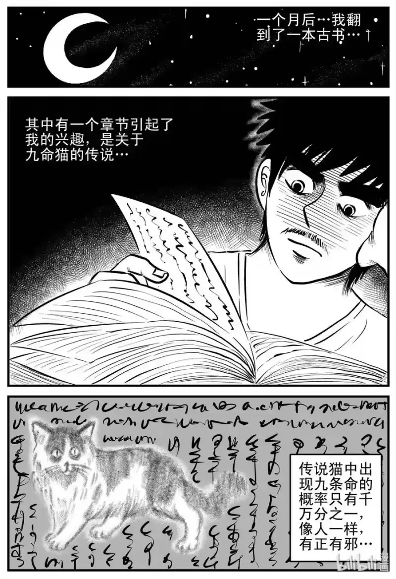 小智怪谈_h 163 猫 第22页