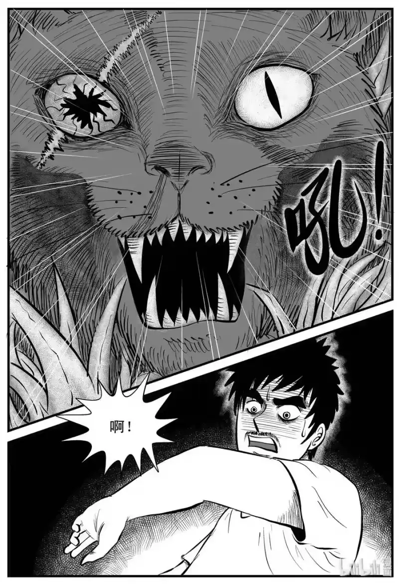小智怪谈_h 163 猫 第3页