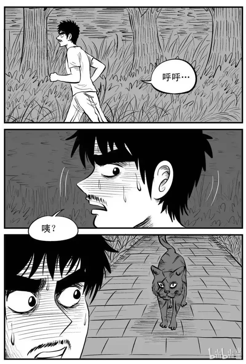 小智怪谈_h 163 猫 第5页