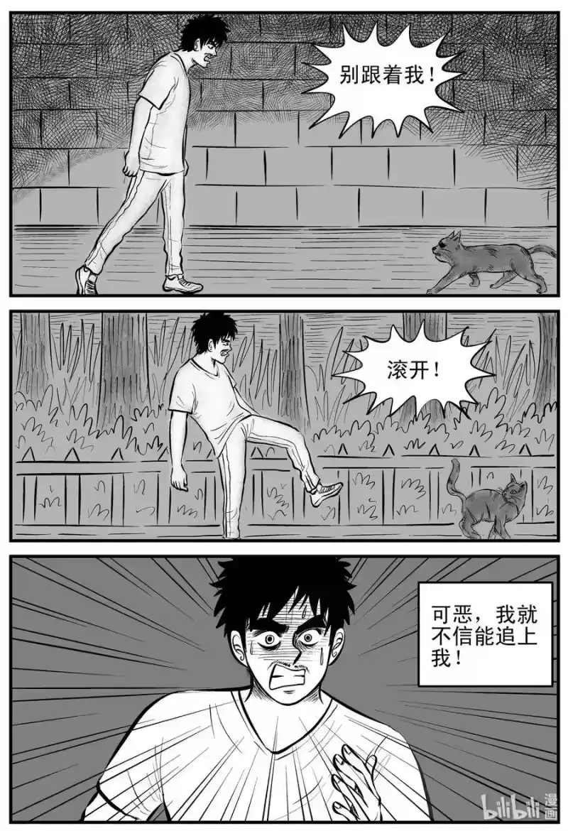 小智怪谈_h 163 猫 第6页