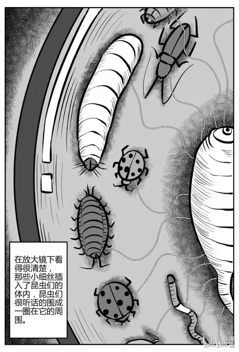 小智怪谈_h 307 寄生虫（5） 第14页