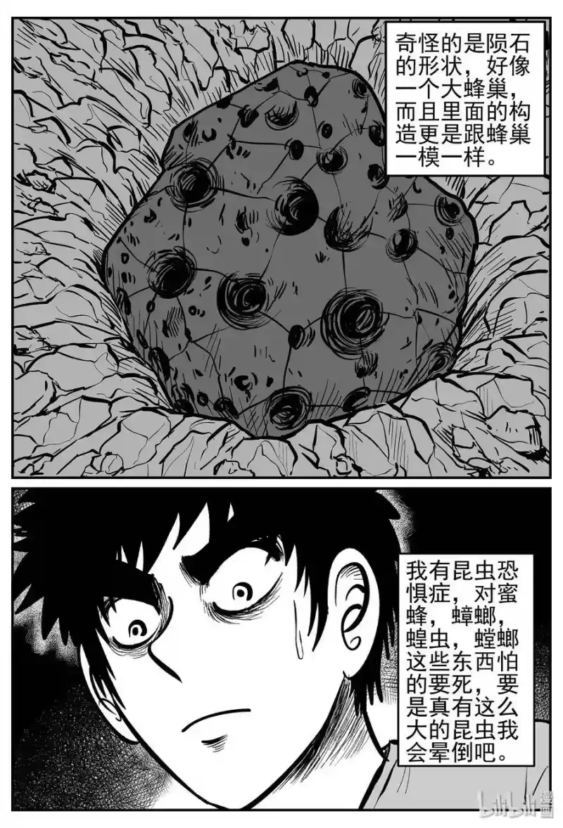 小智怪谈_h 040 它：蜂群（1） 第8页