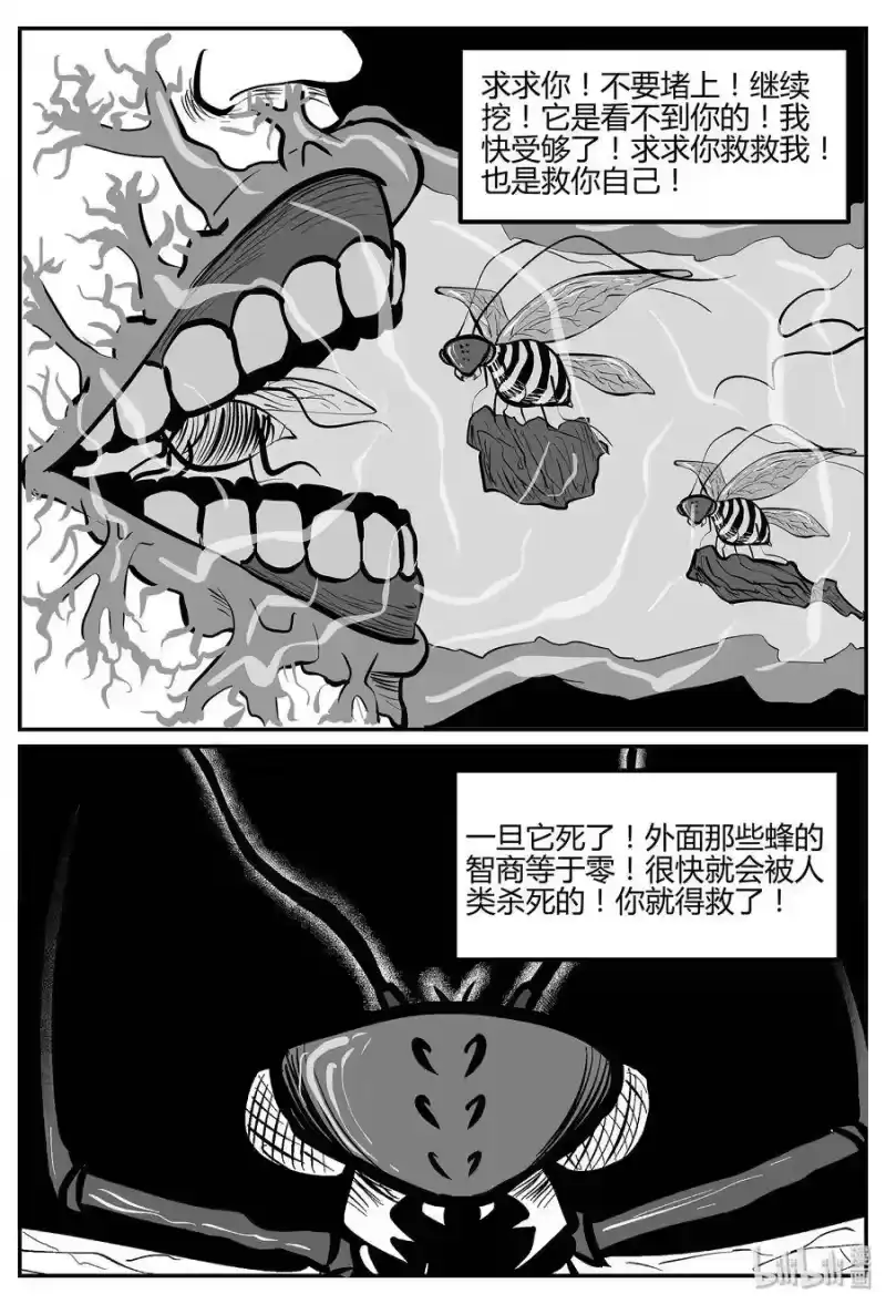 小智怪谈_h 042 它：蜂群（3） 第12页