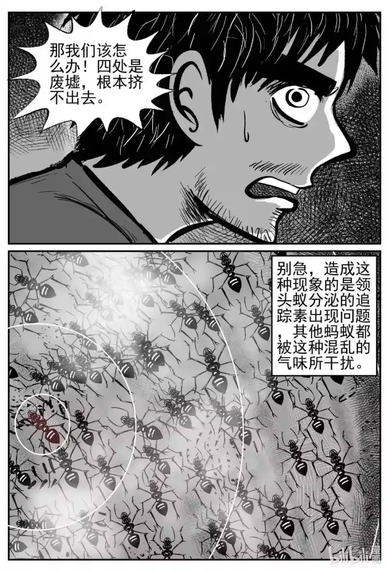 小智怪谈_h 494 它7 第19页