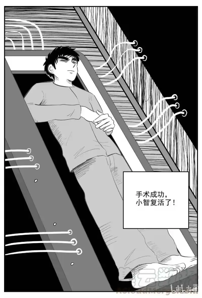 小智怪谈_h 575 重生 第19页