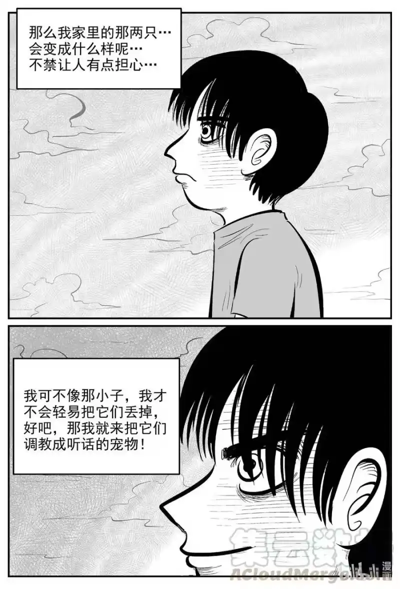 小智怪谈_h 593 它1.5 第13页