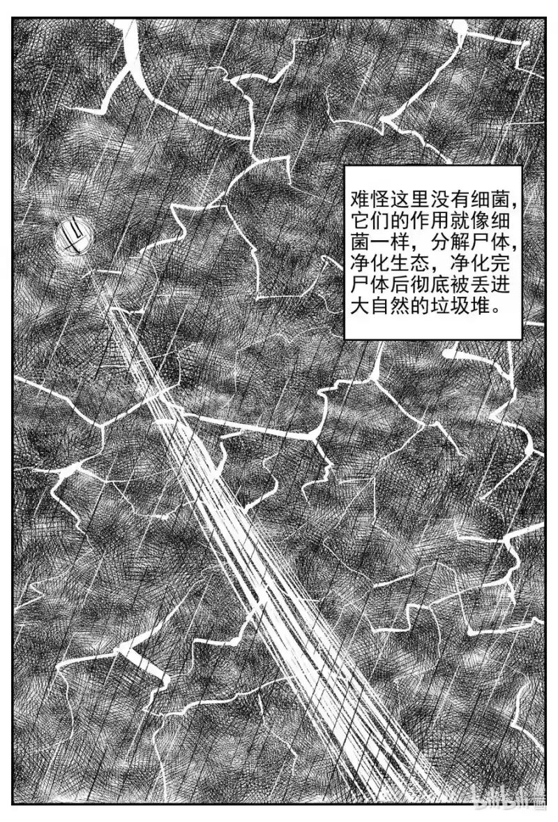 小智怪谈_h 678 桃源 第16页