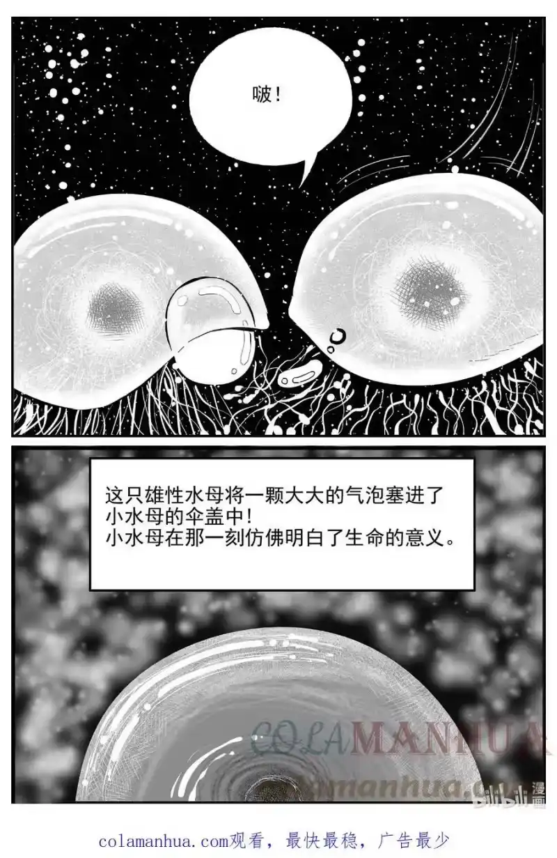 小智怪谈_h 825 回归 第15页