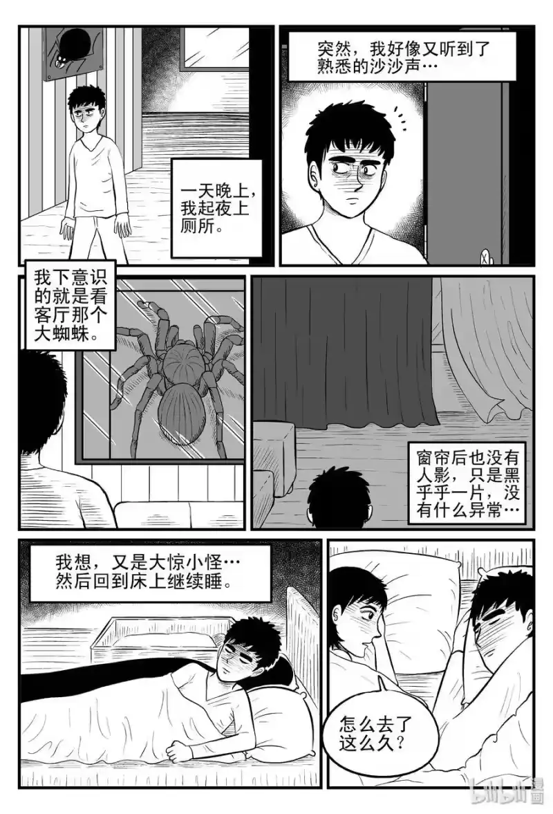 小智怪谈_h 095 蜘蛛（2） 第3页