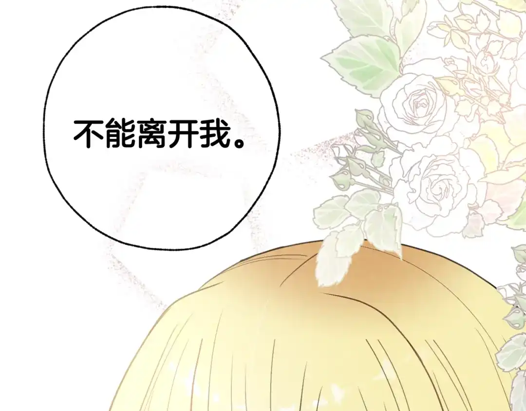 情人节之吻 第76话 给你自由 第164页