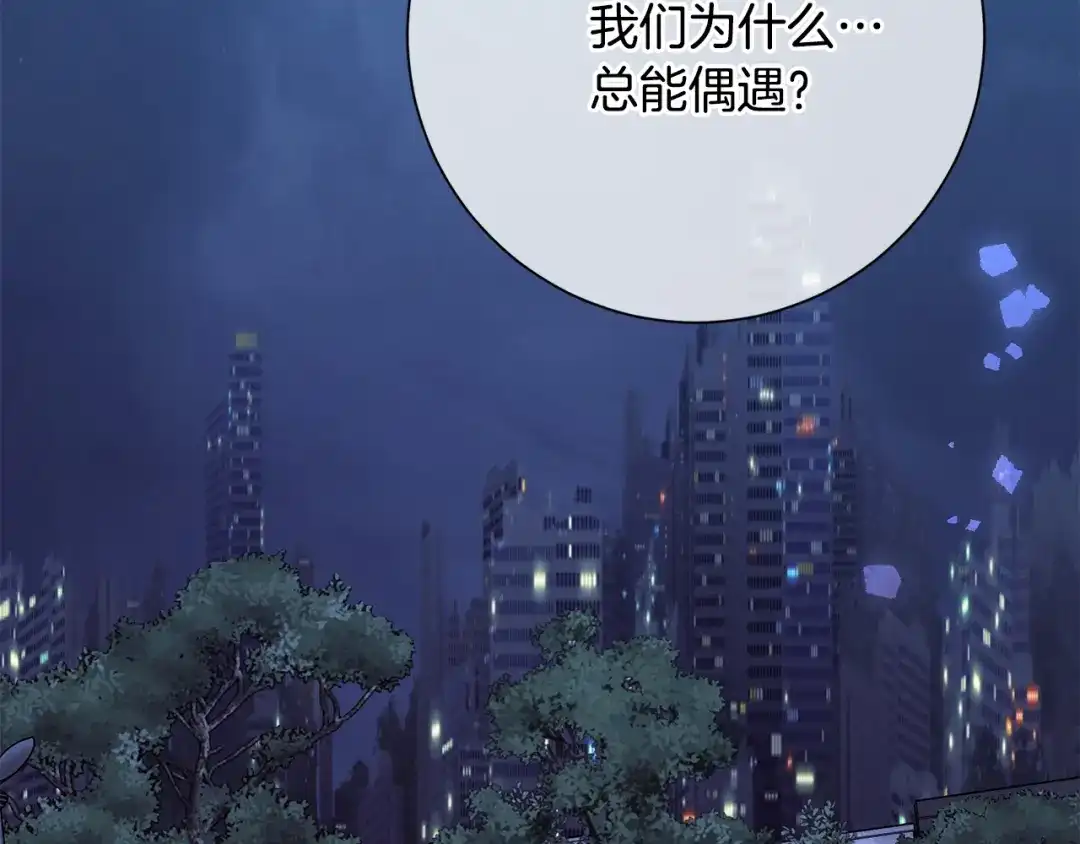 我只心动不结婚 第11话 命中注定 第156页