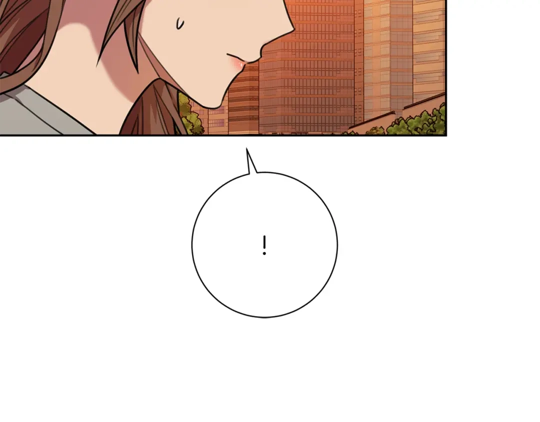 我只心动不结婚 第45话 爱，没有时效 第17页