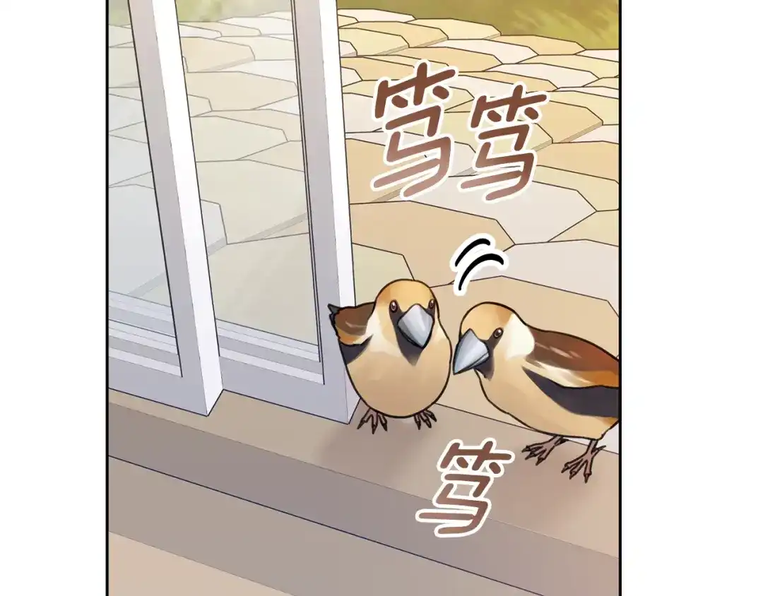 我只心动不结婚 第63话 放弃摄影的理由 第17页