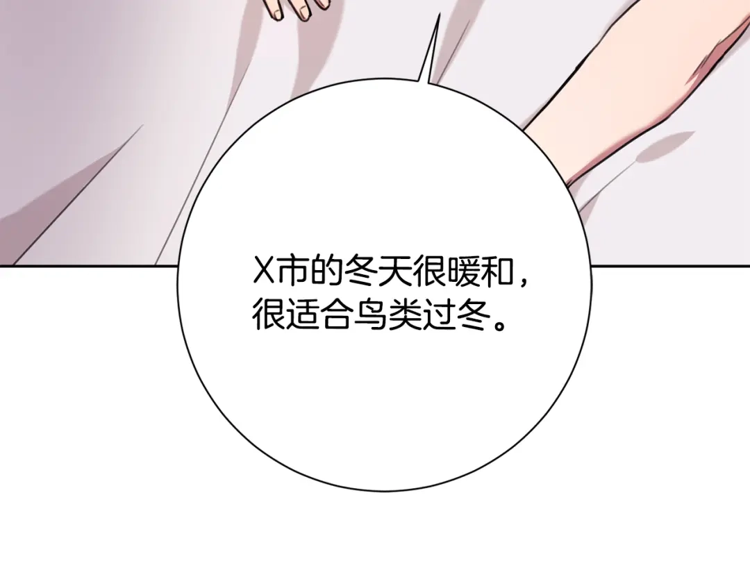 我只心动不结婚 第63话 放弃摄影的理由 第24页