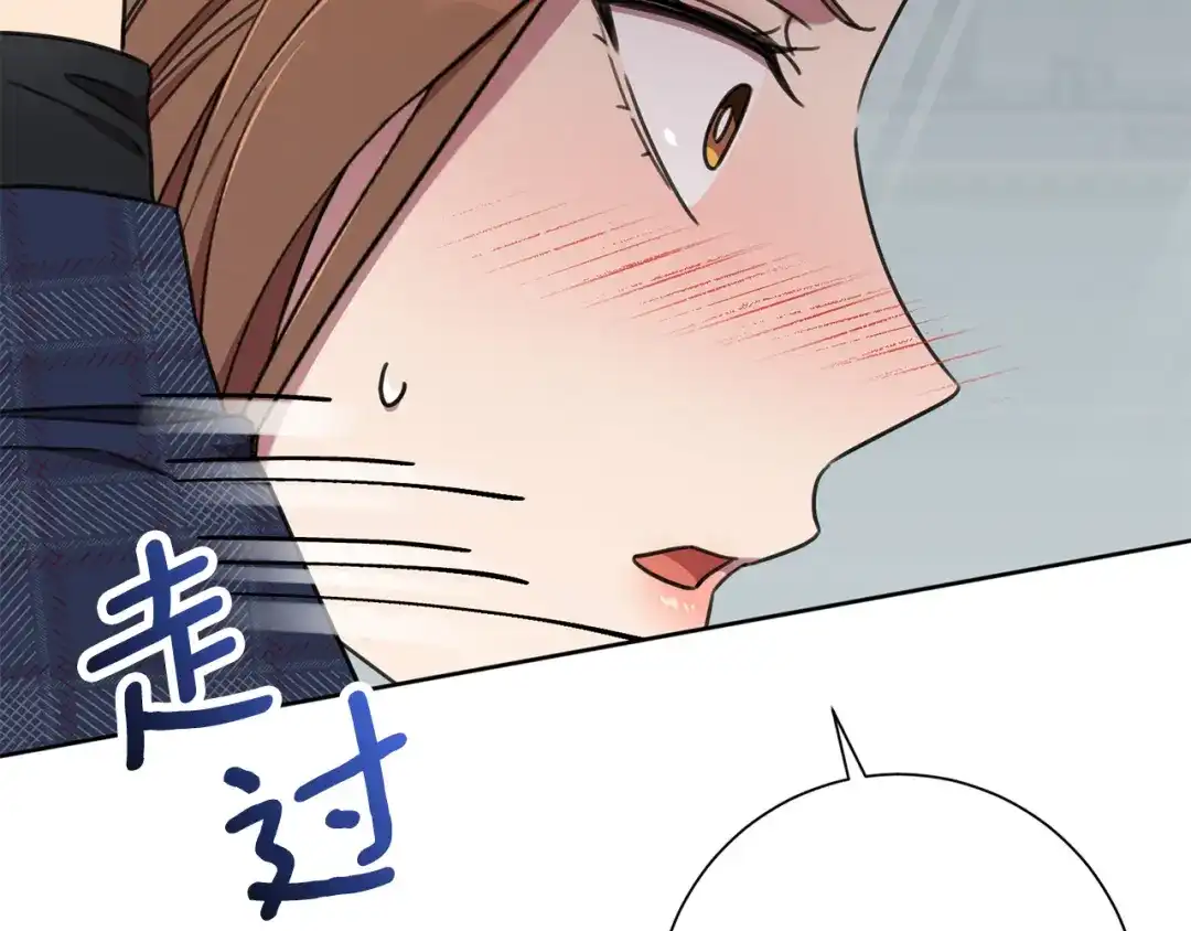 我只心动不结婚 第80话 如何选择 第71页