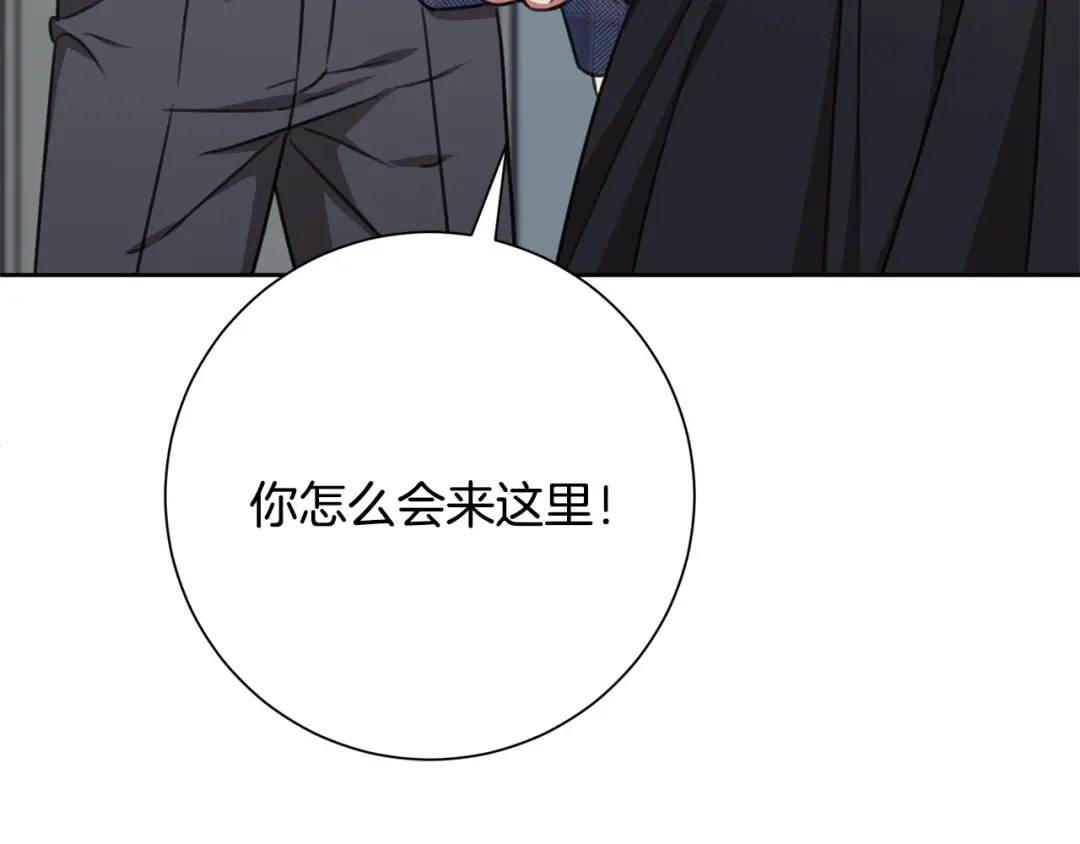我只心动不结婚 第81话 我们重新开始吧 第241页