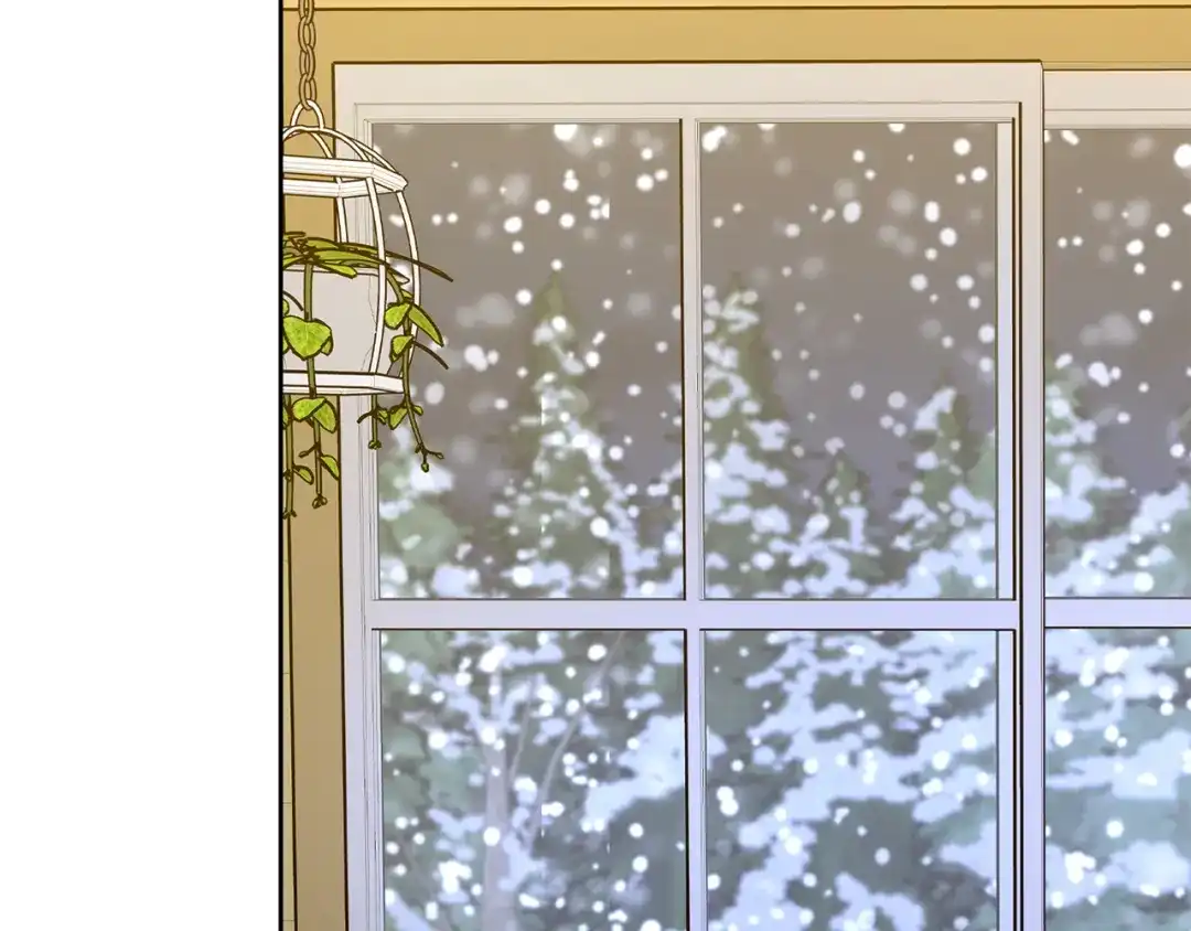 我只心动不结婚 完结篇 你愿意吗？ 第237页