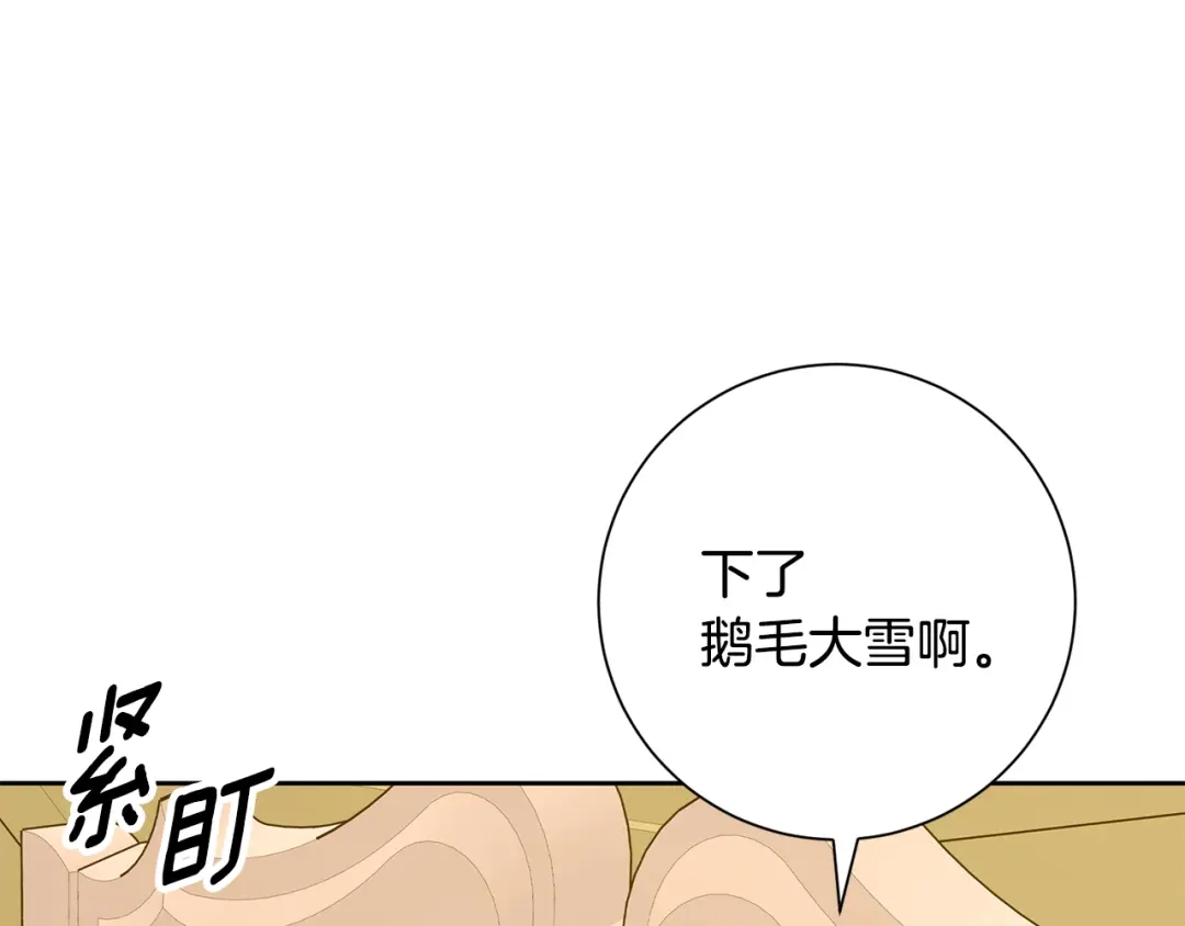 我只心动不结婚 完结篇 你愿意吗？ 第239页