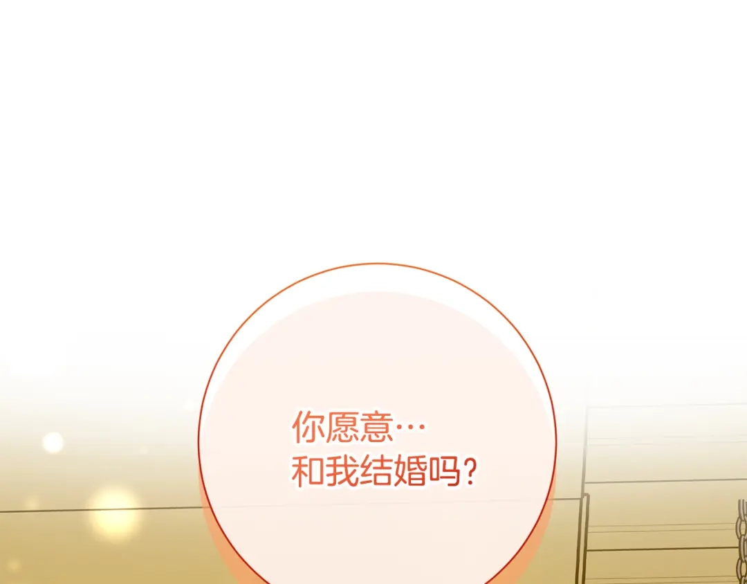 我只心动不结婚 完结篇 你愿意吗？ 第244页