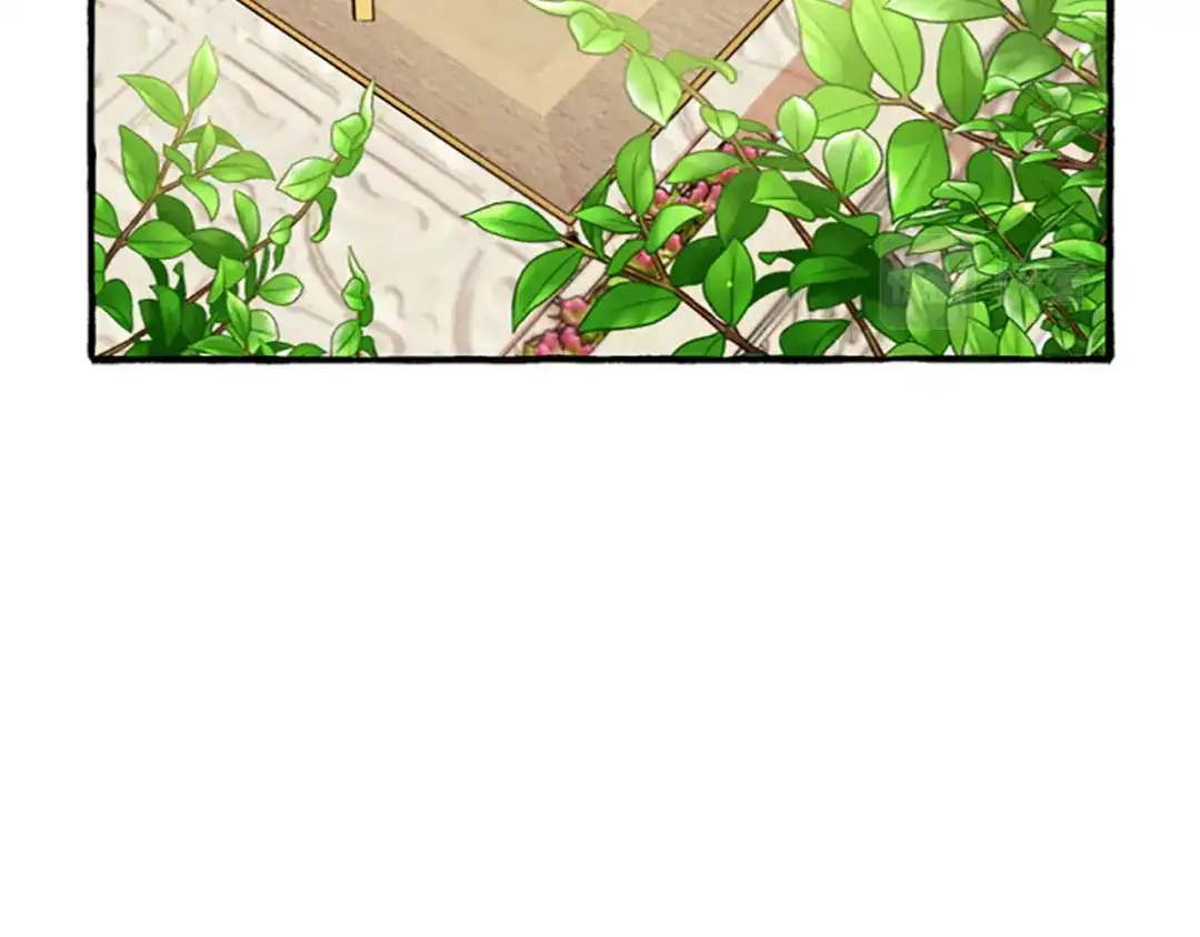 偏执公爵不让我带崽逃 第15话 “卑鄙”手段 第48页