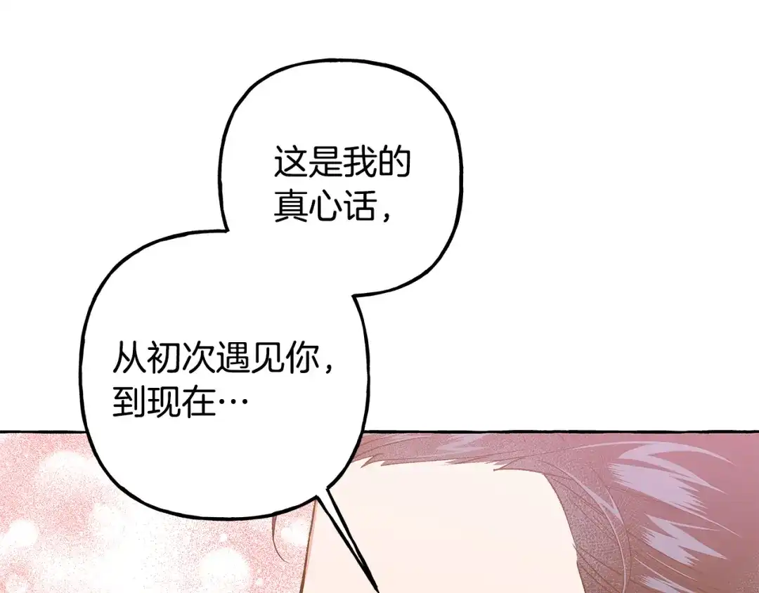 偏执公爵不让我带崽逃 完结篇 正式的婚礼 第113页