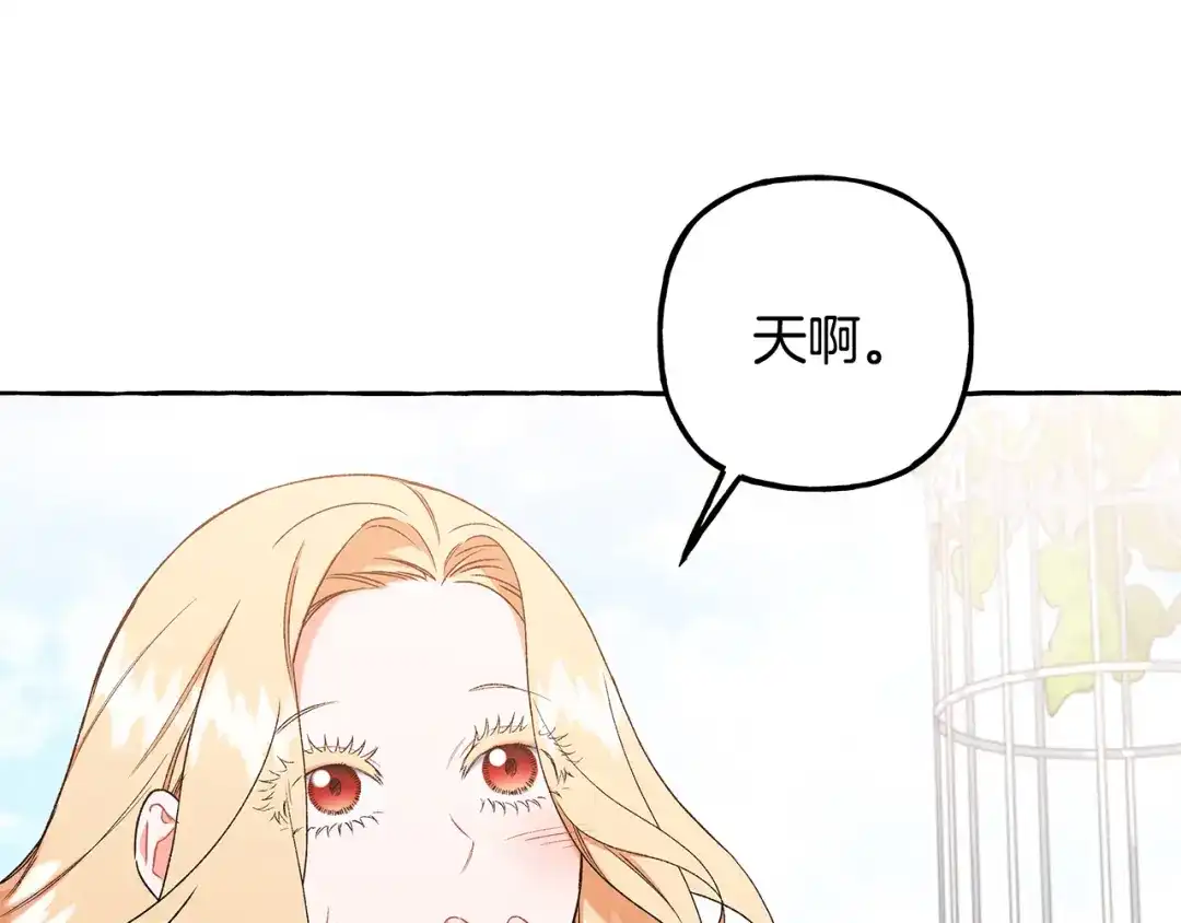 偏执公爵不让我带崽逃 完结篇 正式的婚礼 第85页