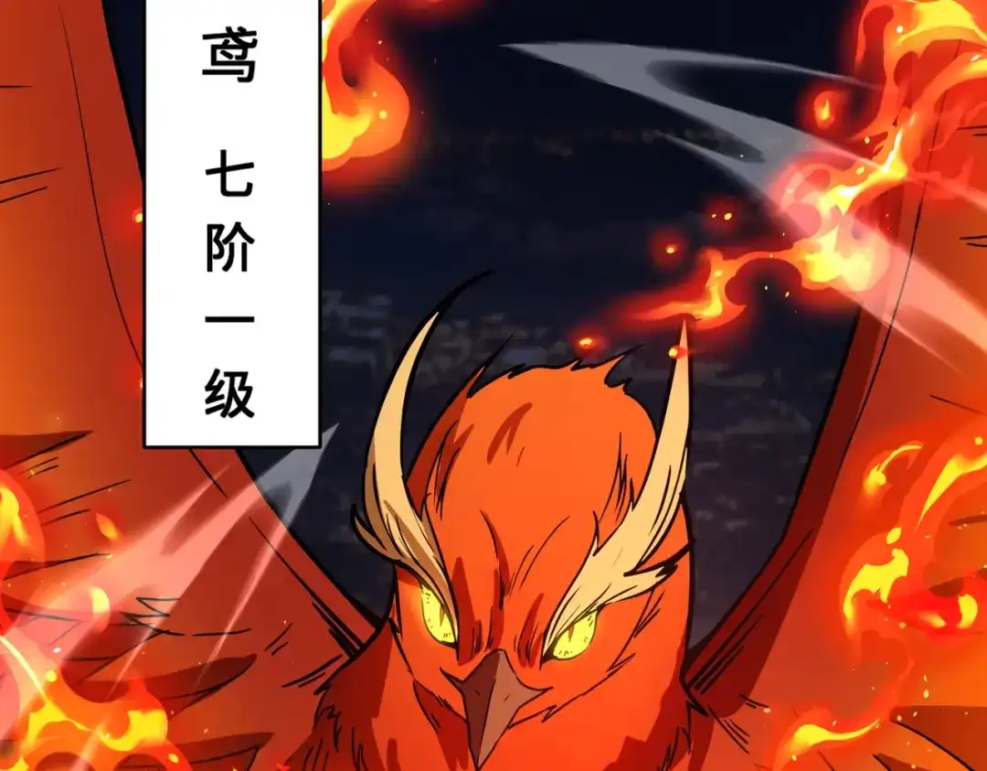 全民御灵：我的灵宠是女僵尸 第25话 浴火凤凰？史诗级灵宠登场！ 第22页