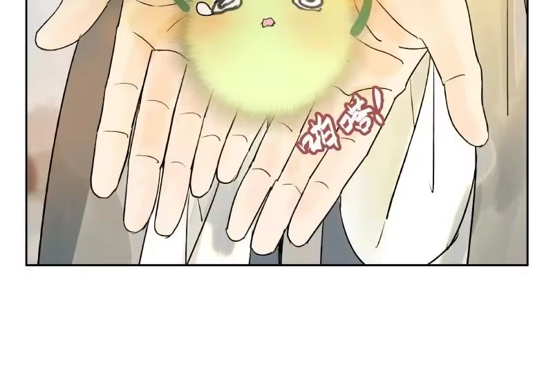 小师妹不想飞升_h 021 视而不见搔踟蹰 第5页
