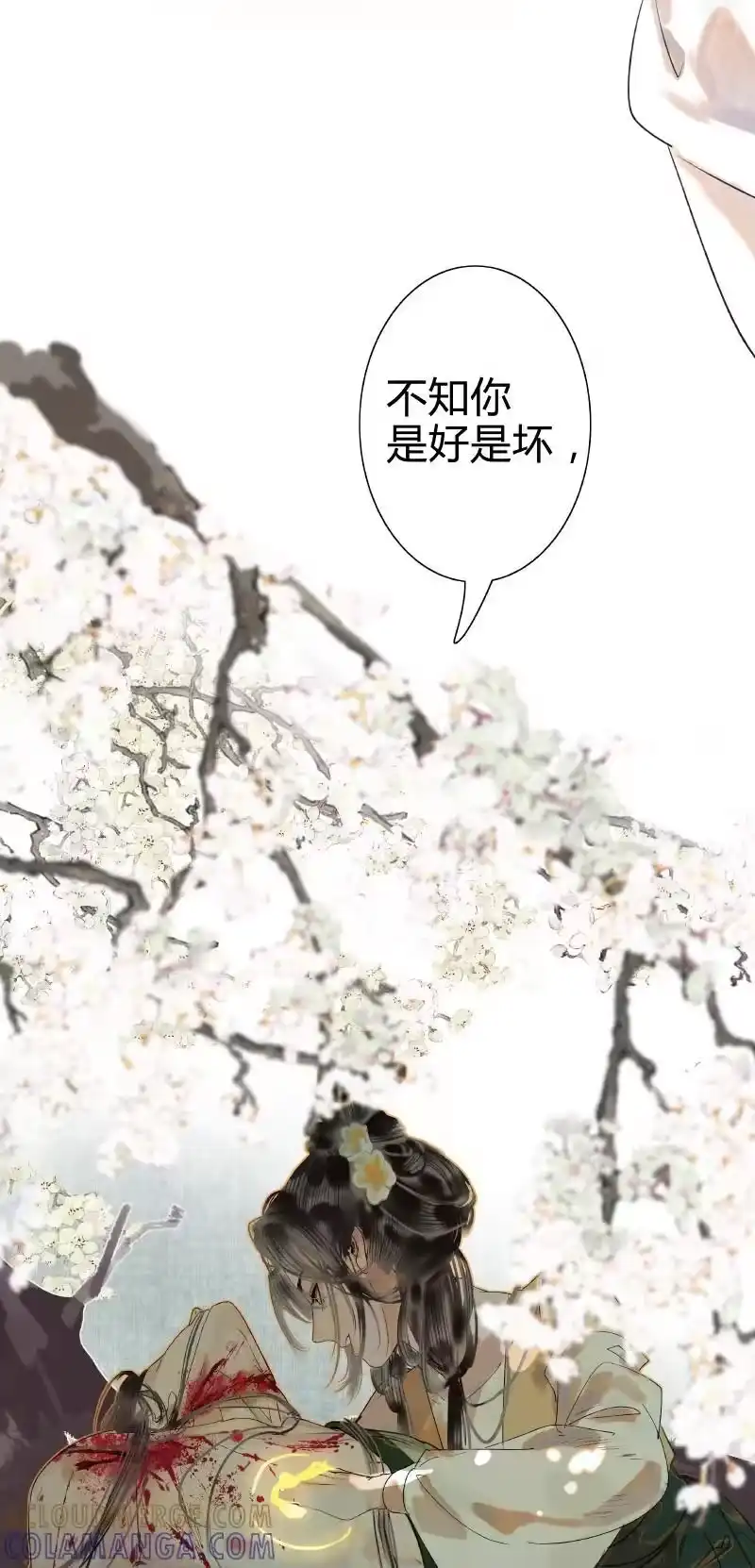小师妹不想飞升_h 004 堇珣得遇风荷举 第13页