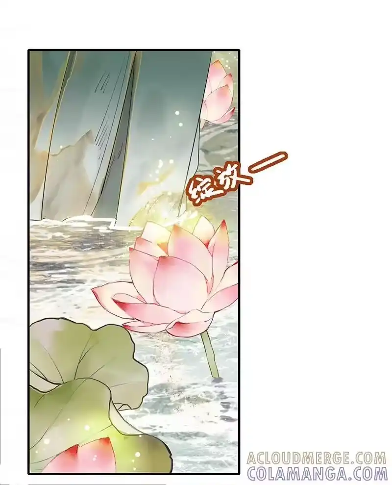 小师妹不想飞升_h 004 堇珣得遇风荷举 第23页
