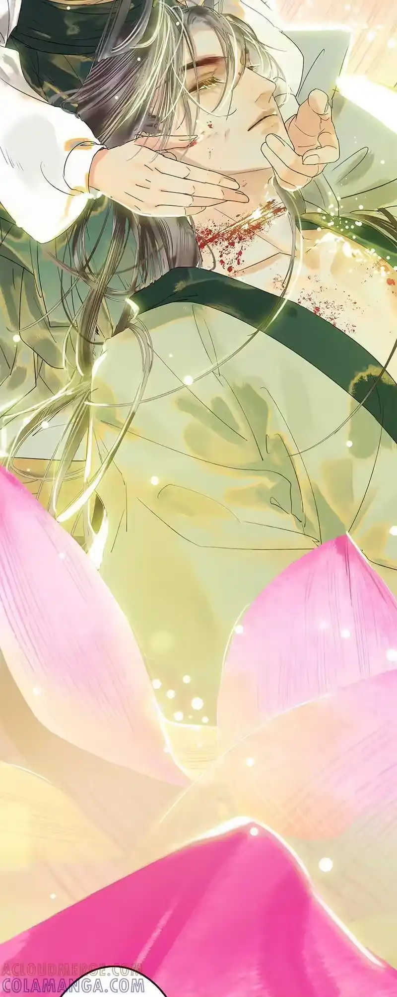 小师妹不想飞升_h 004 堇珣得遇风荷举 第29页