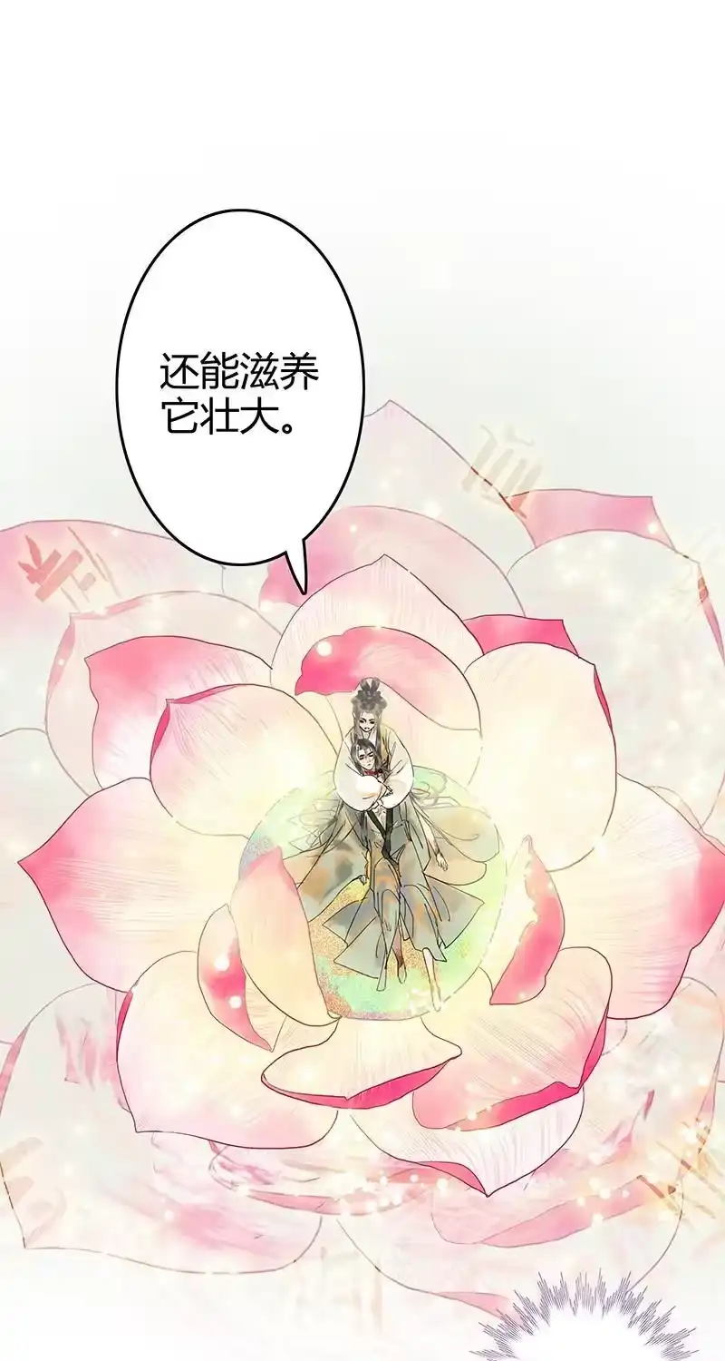 小师妹不想飞升_h 005 半缘修道半缘君 第2页