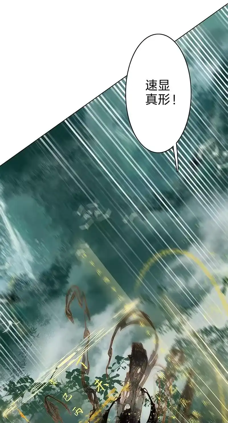 小师妹不想飞升_h 009 生可望死亦可往 第12页