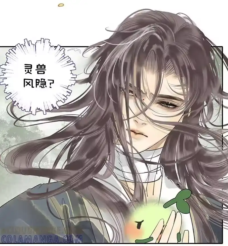 小师妹不想飞升_h 009 生可望死亦可往 第15页