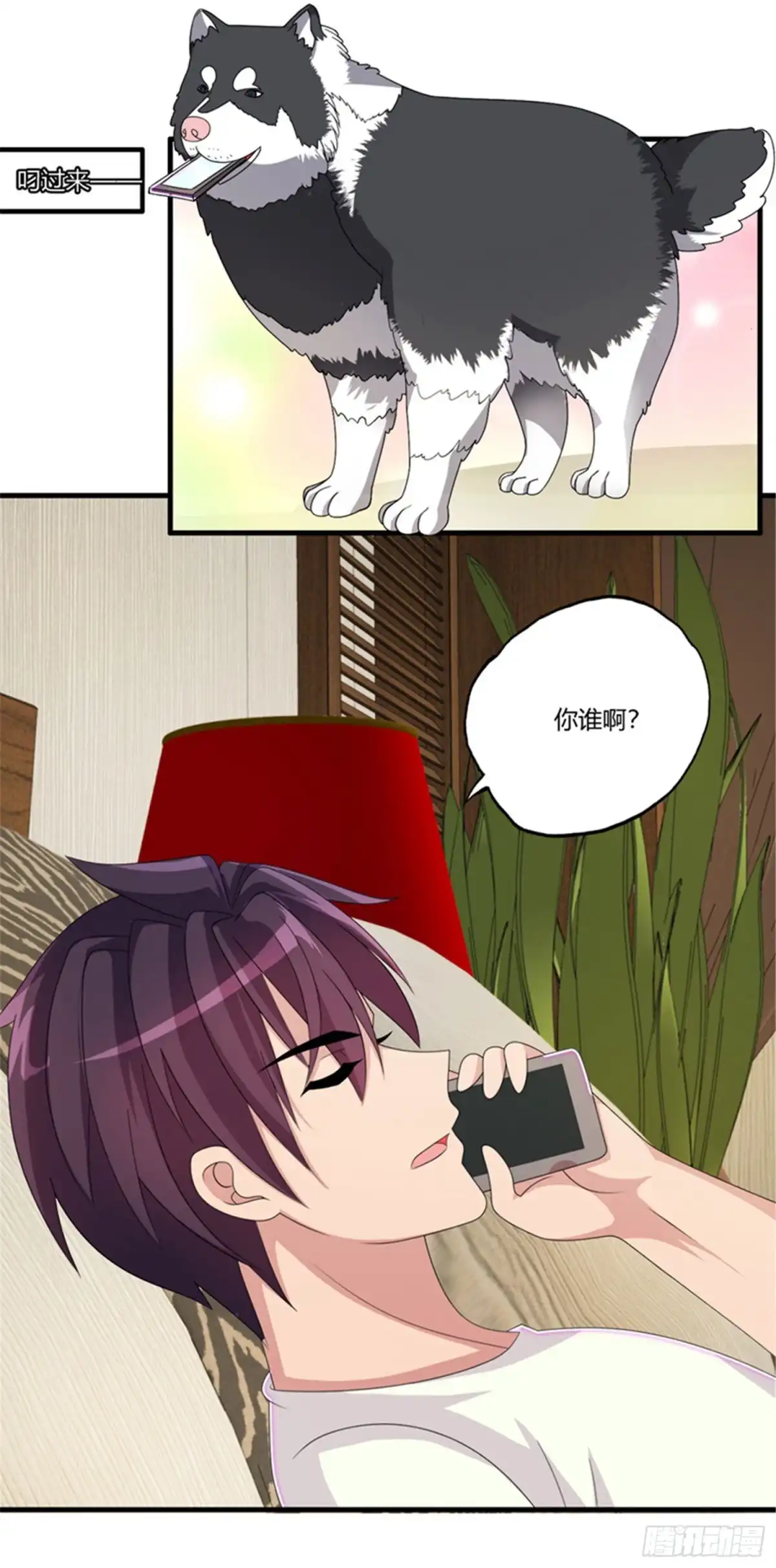 医等狂兵 第68话 你啥时候娶我女儿？ 第30页