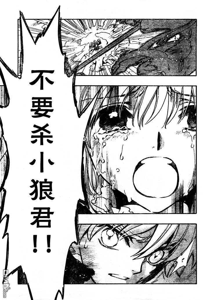 第207页