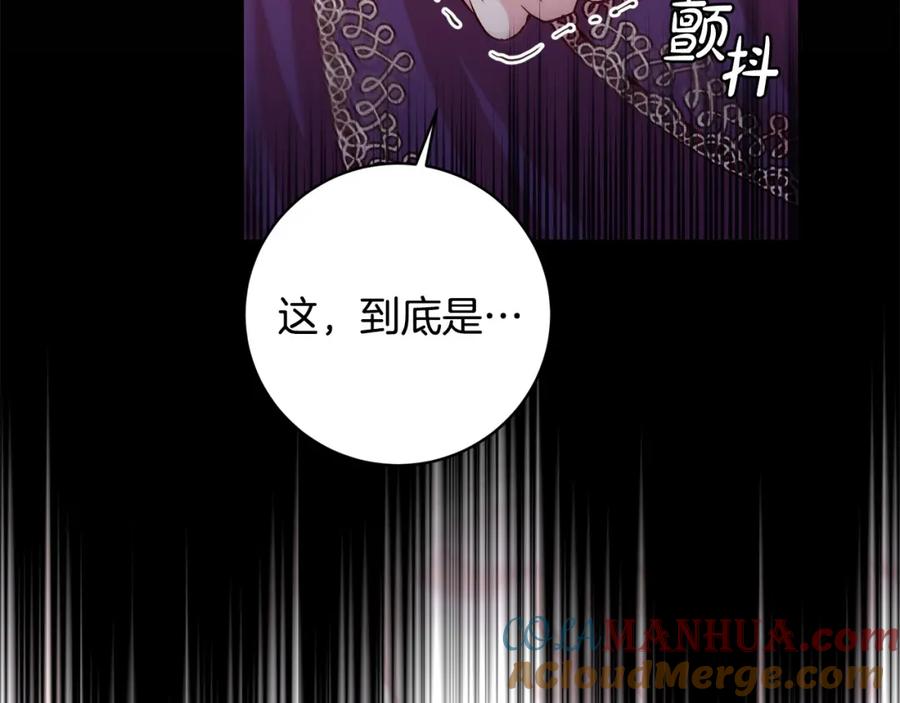 第221页