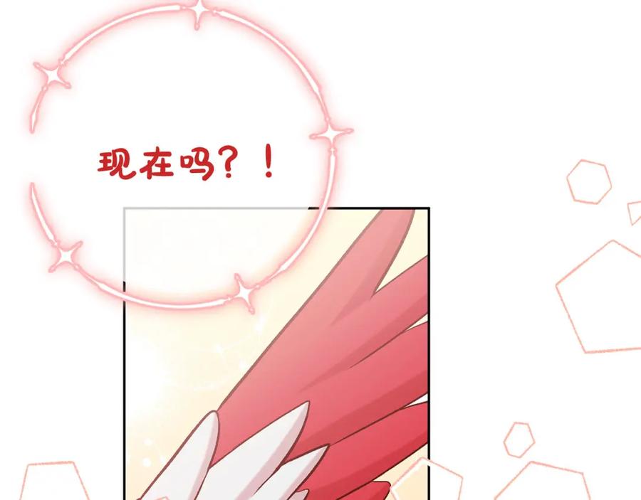 第214页