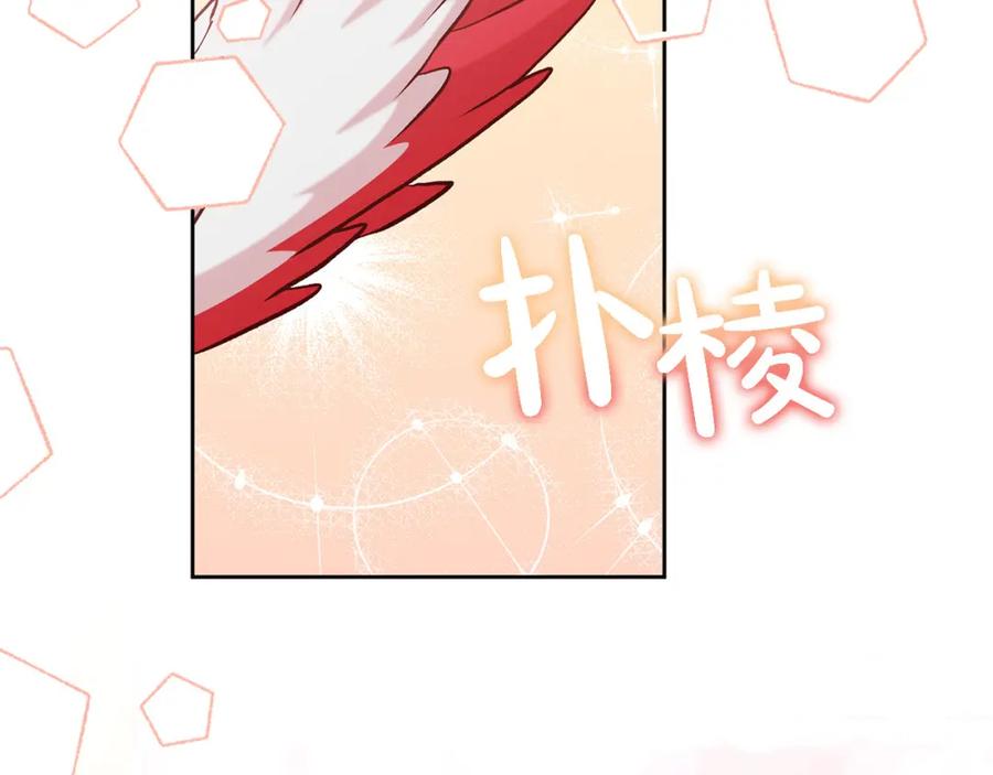 第215页