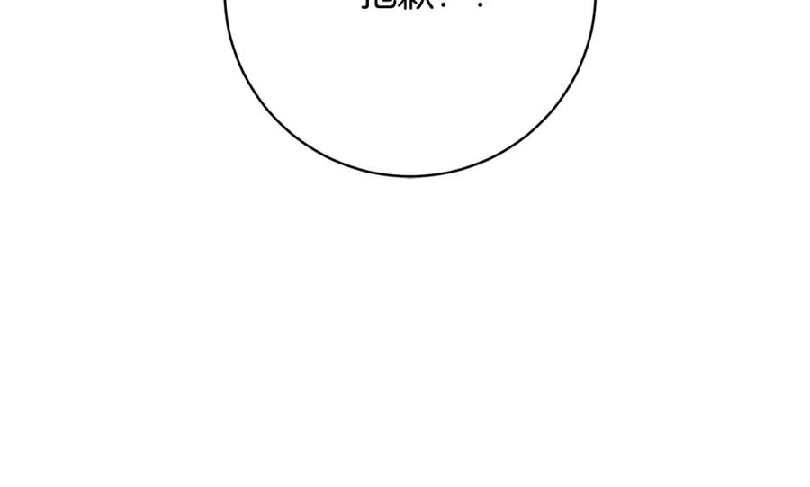 第223页