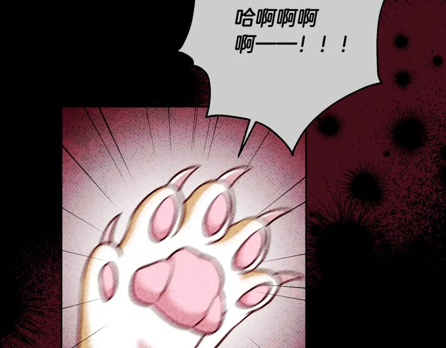 第194页