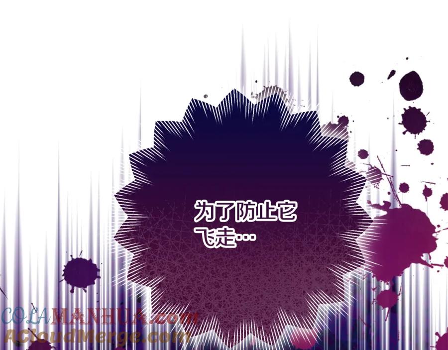 第217页