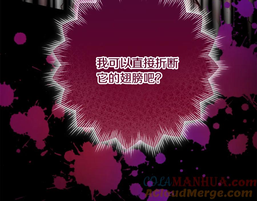 第221页