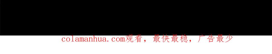 第223页