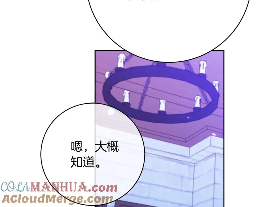 第205页