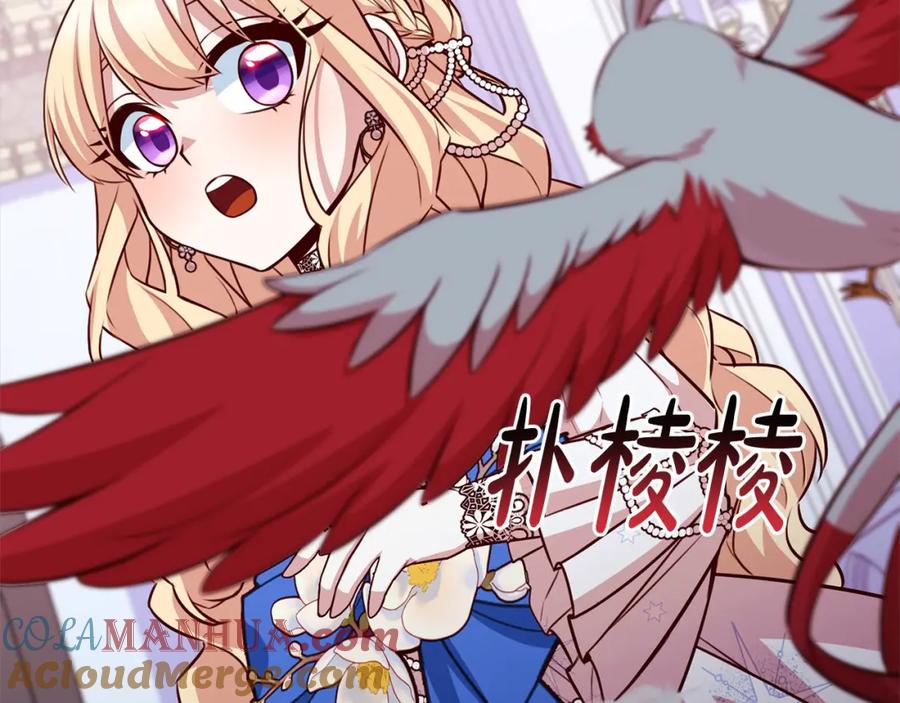 第213页