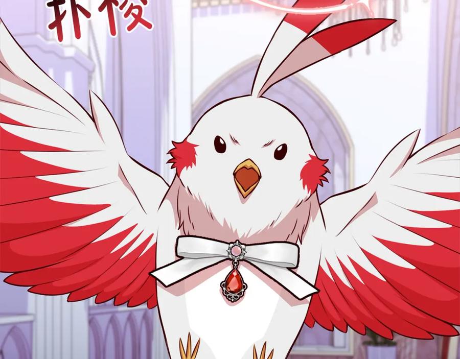 第216页