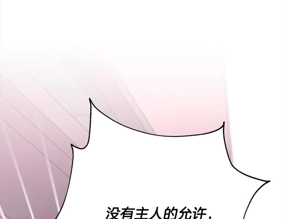 第223页