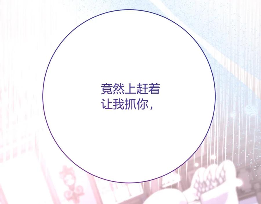 第206页
